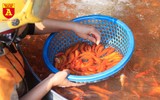 Chợ cá Yên Sở nhộn nhịp ngày ông Công ông Táo